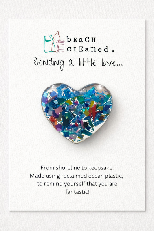 Beach Cleaned - Pocket Hug